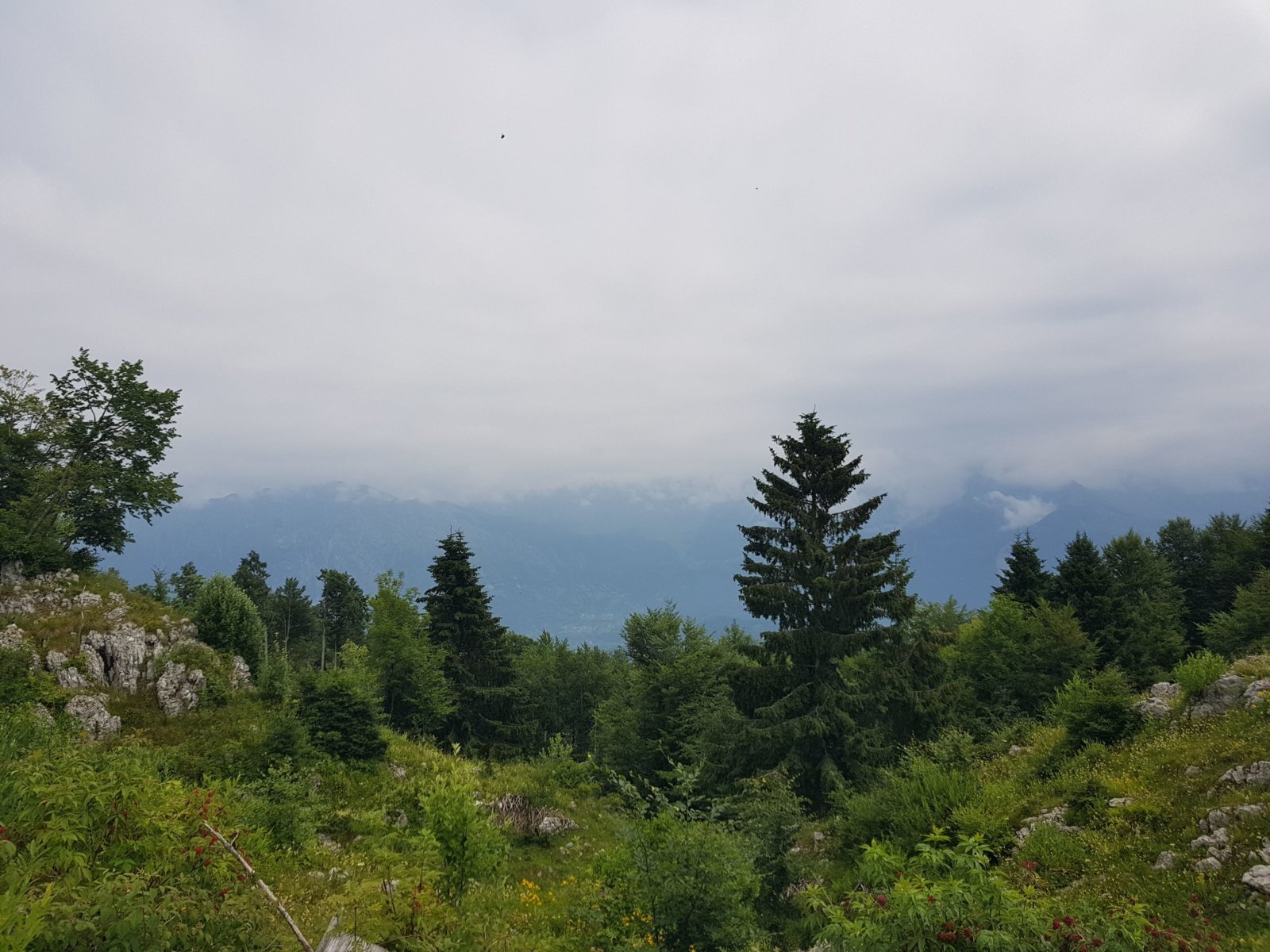 20180703_113252.jpg
