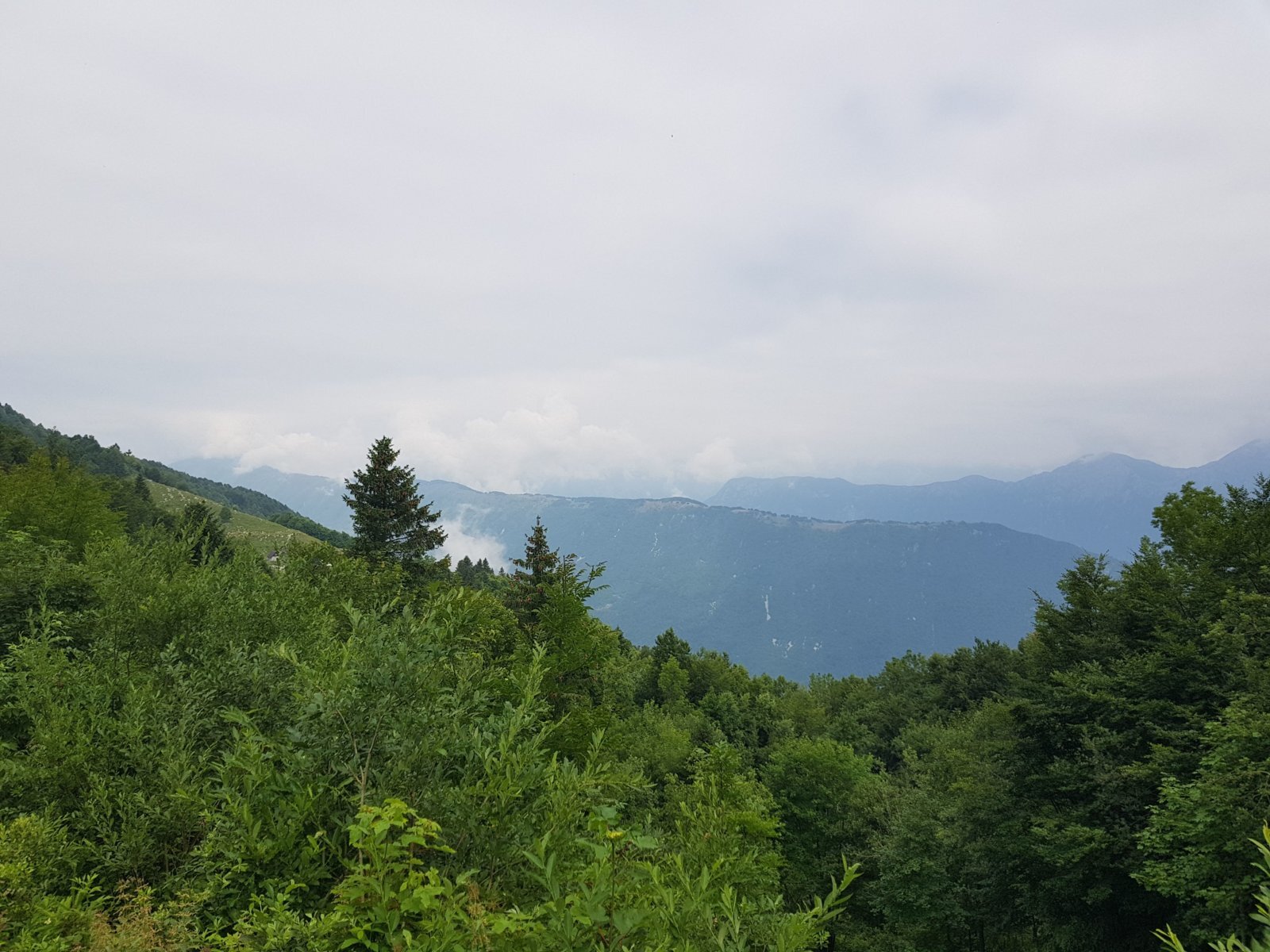 20180703_113535.jpg
