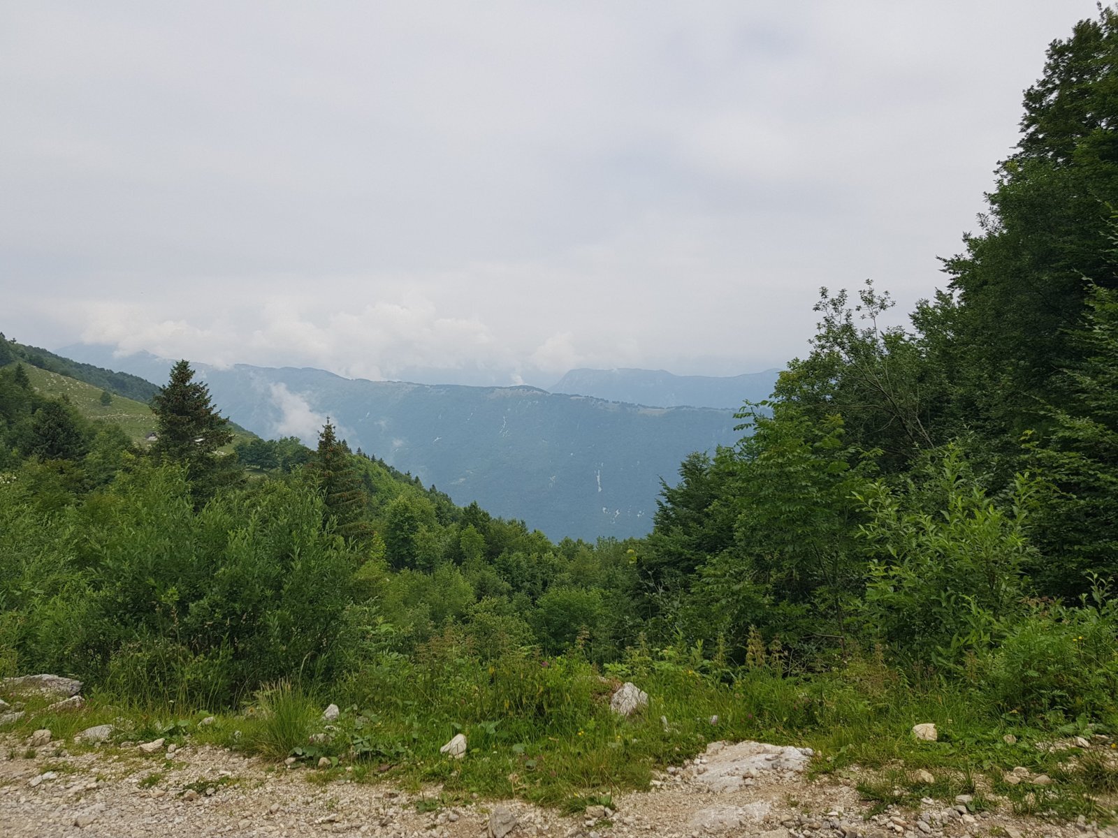 20180703_113557.jpg