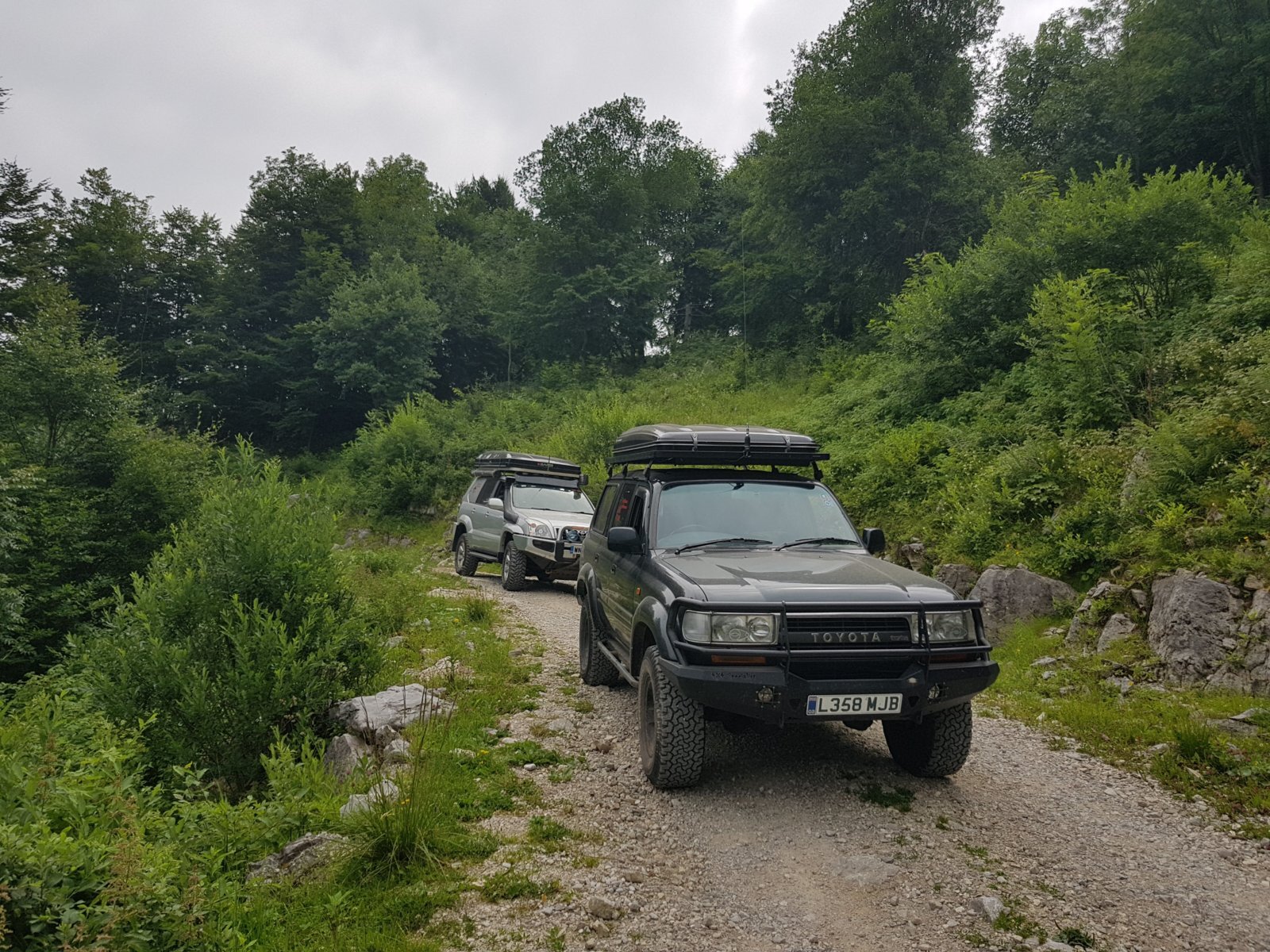 20180703_113611.jpg
