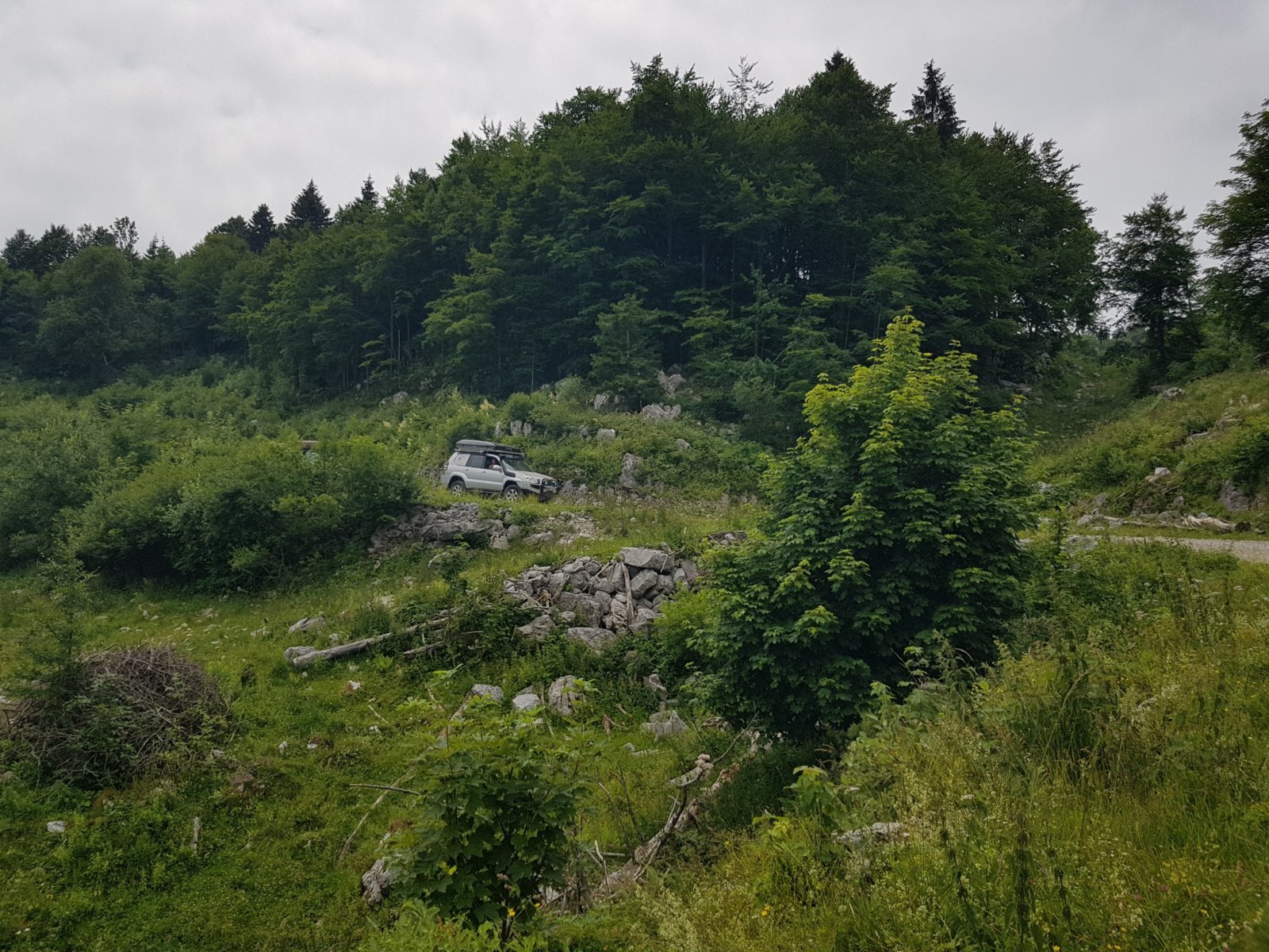 20180703_113734.jpg