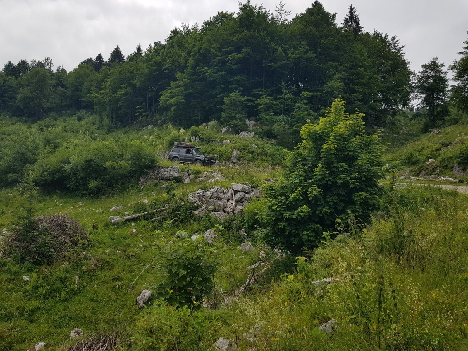 20180703_113742.jpg