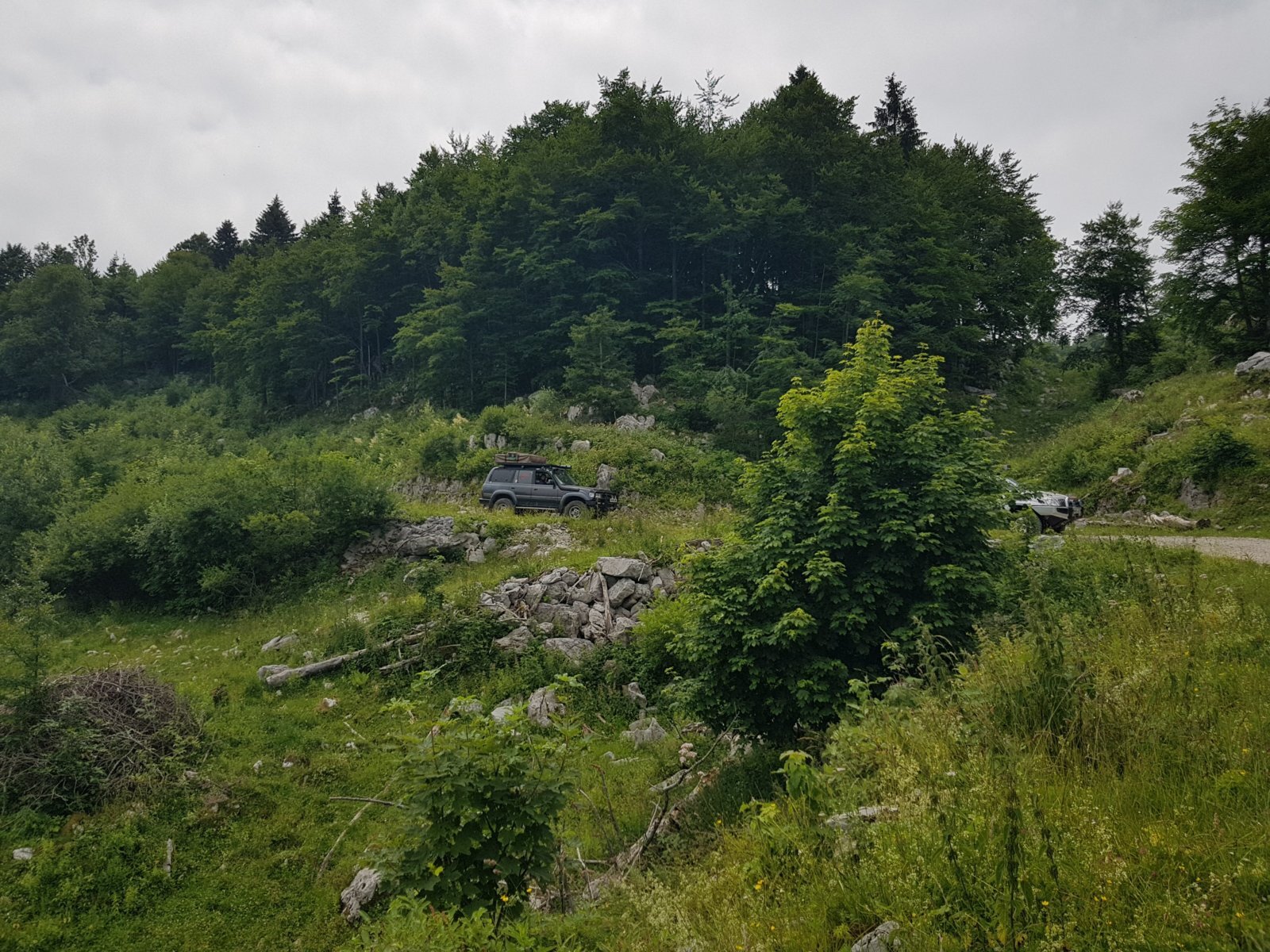 20180703_113744.jpg