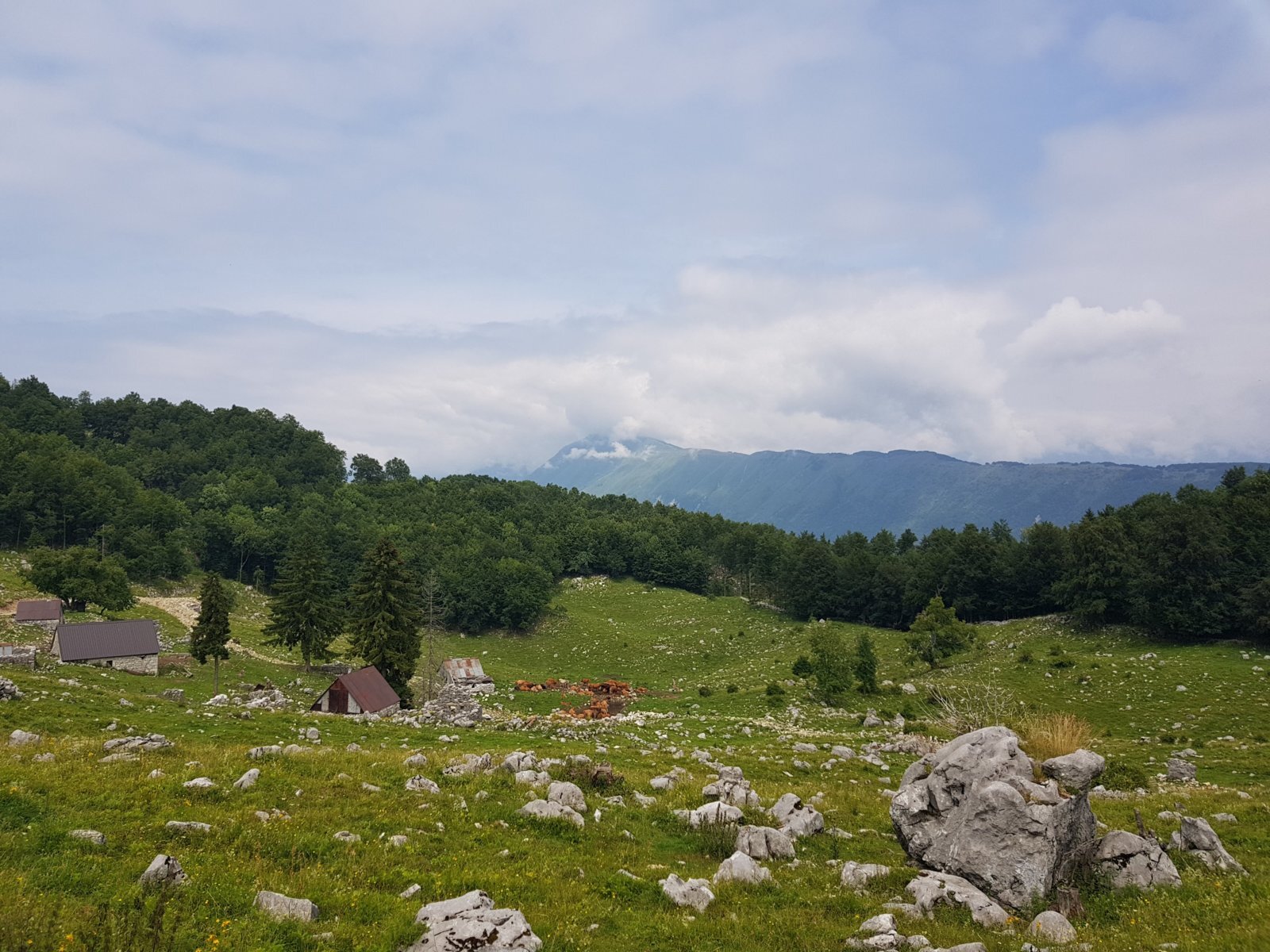 20180703_115546.jpg