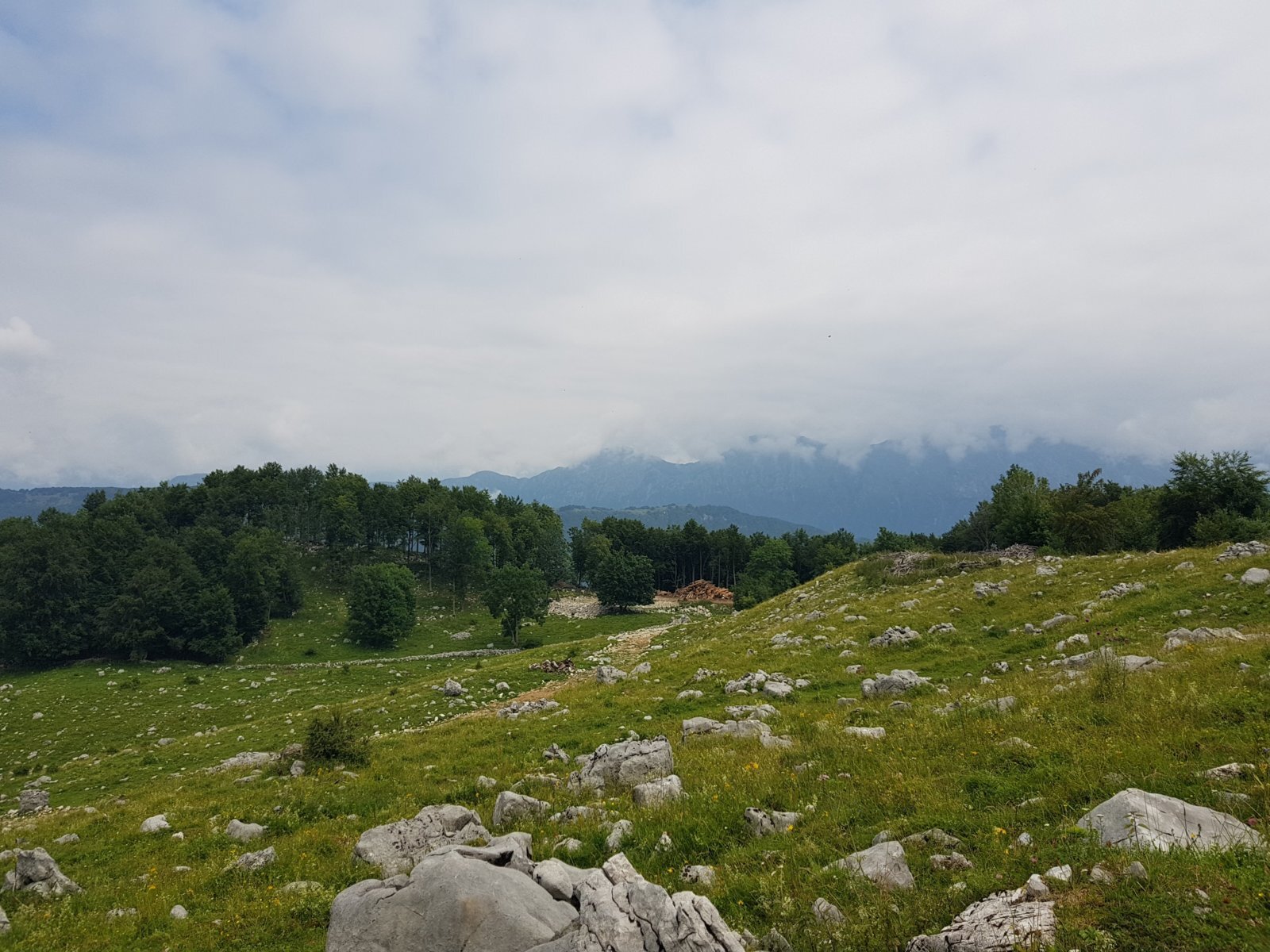 20180703_115555.jpg