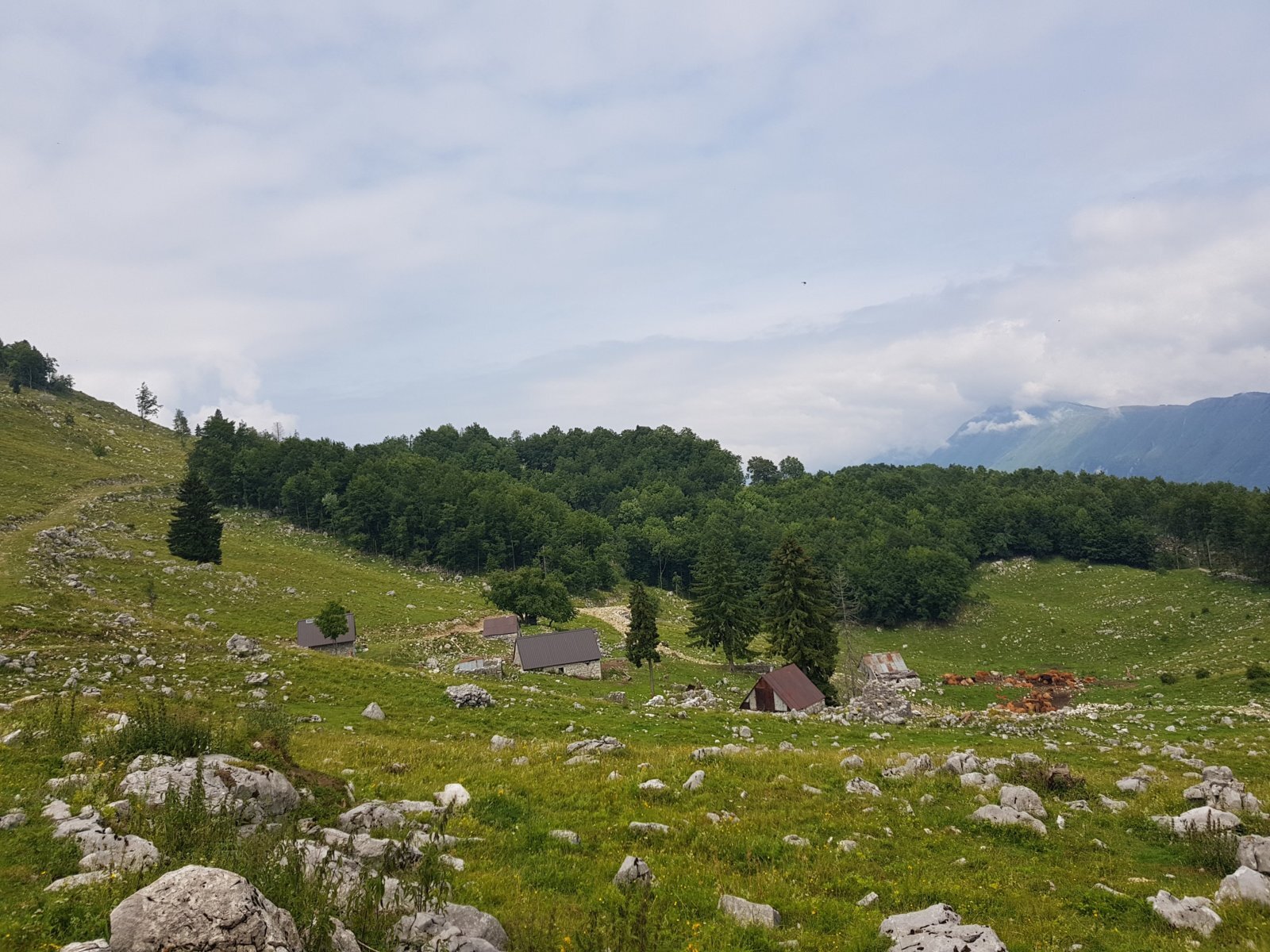 20180703_115559.jpg