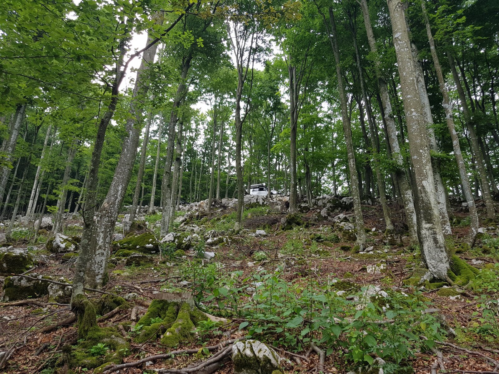 20180703_123640.jpg
