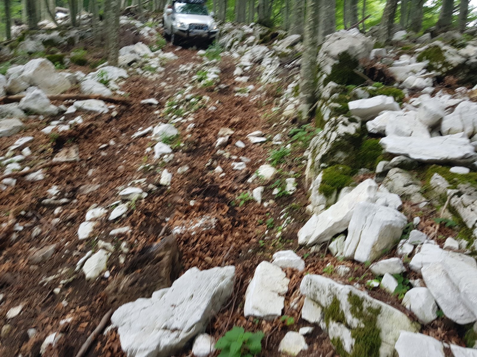 20180703_123752.jpg