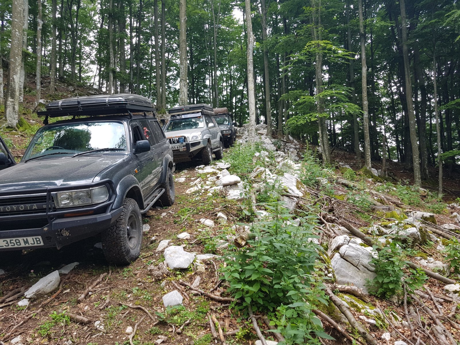 20180703_125453.jpg