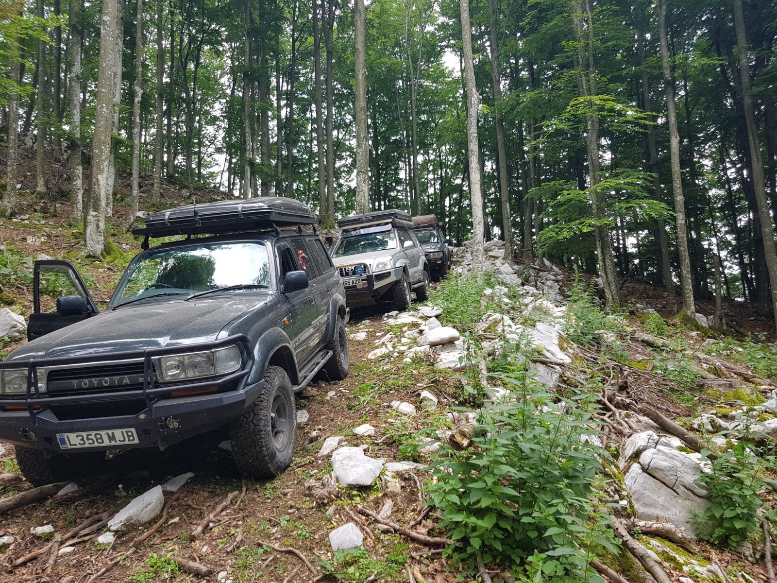 20180703_125456.jpg