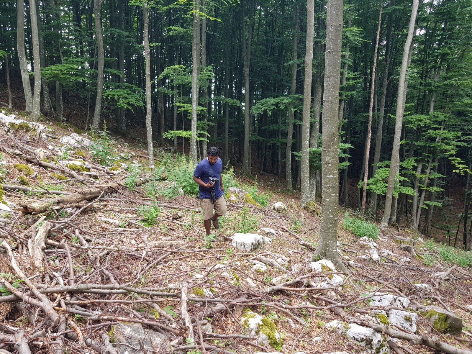 20180703_125458.jpg