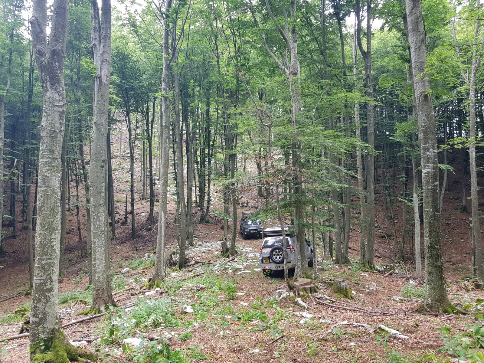20180703_131728.jpg