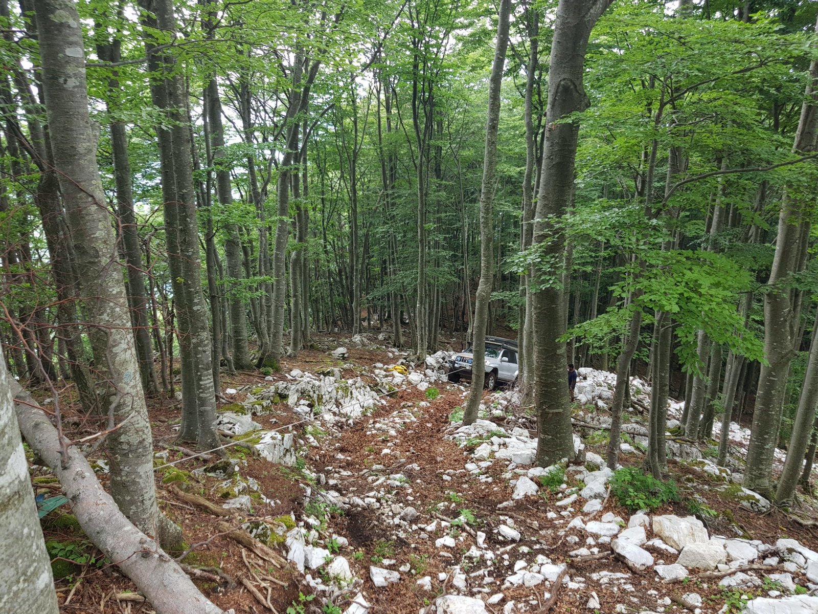 20180703_140522.jpg