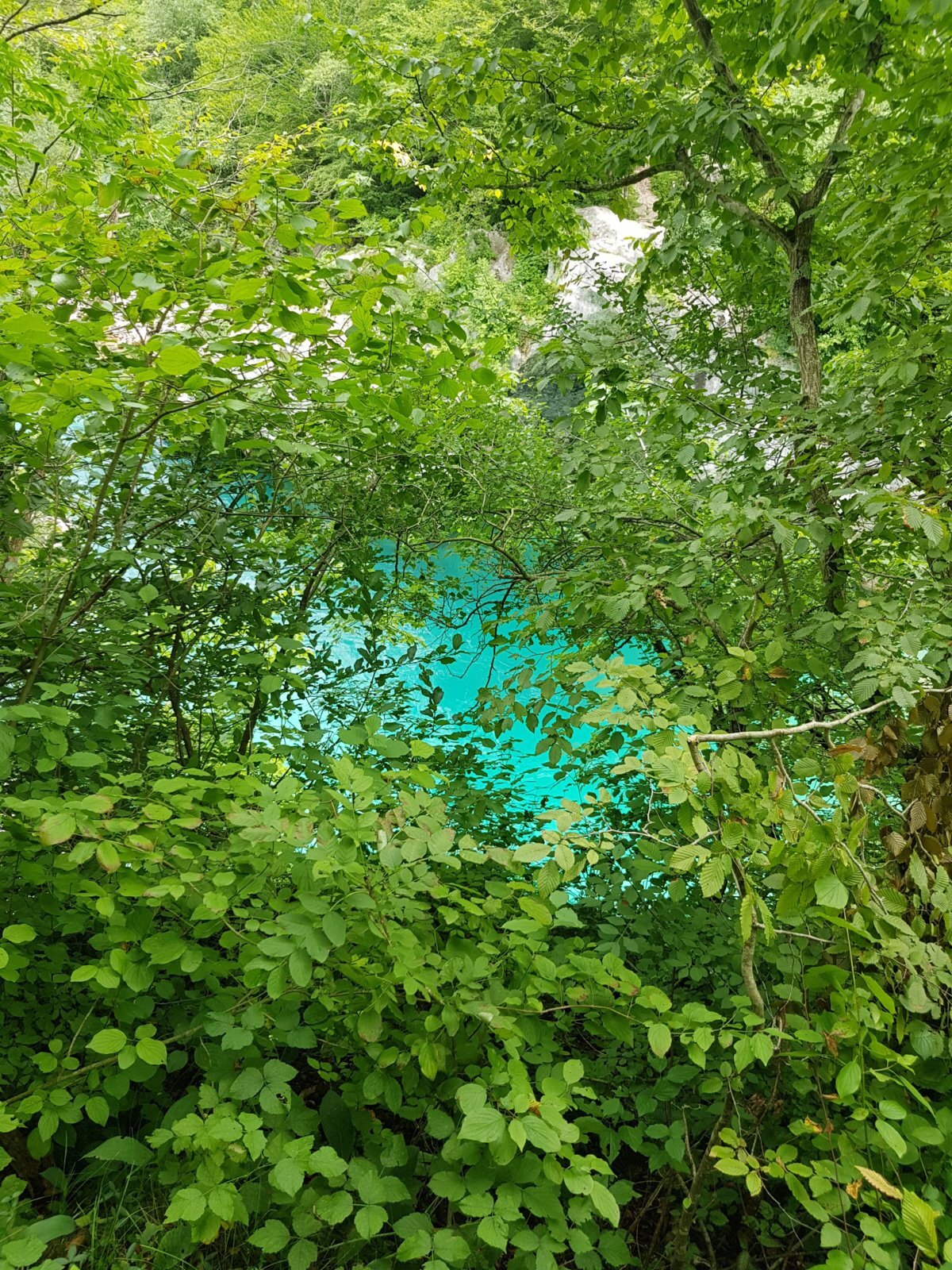 20180704_114536.jpg