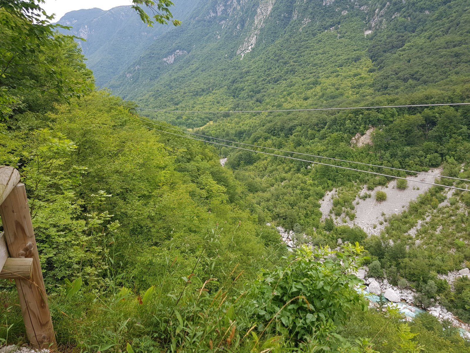 20180704_115933.jpg