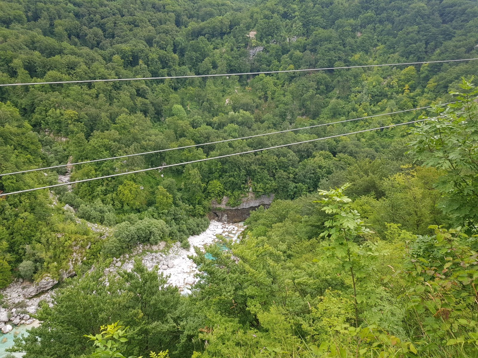 20180704_115940.jpg