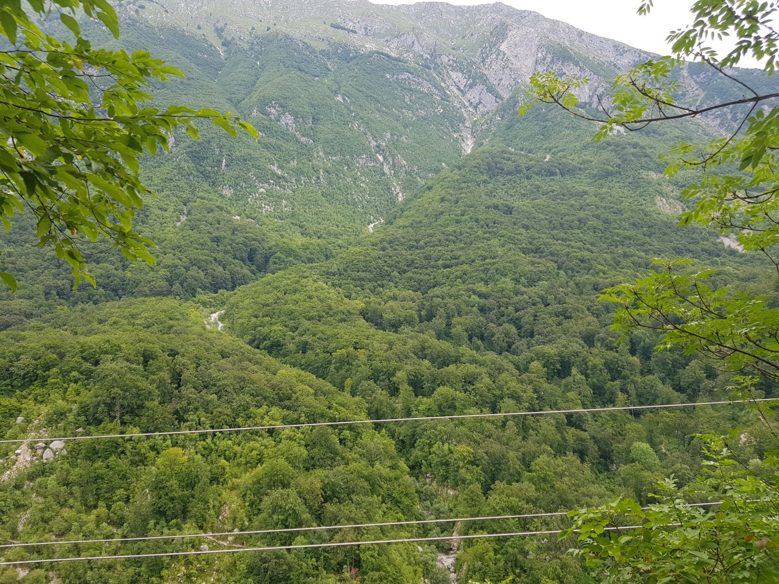 20180704_115953.jpg