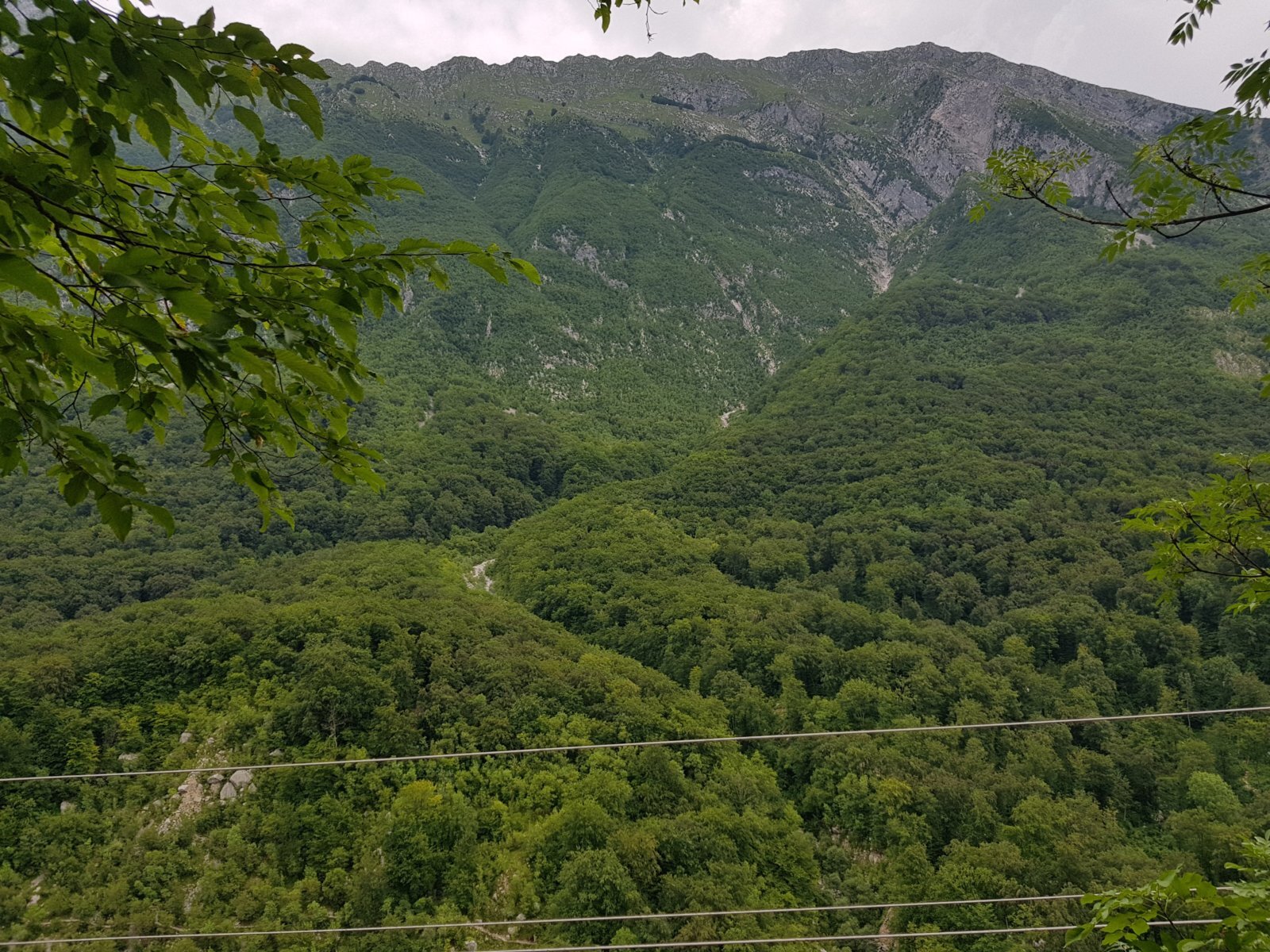 20180704_115955.jpg