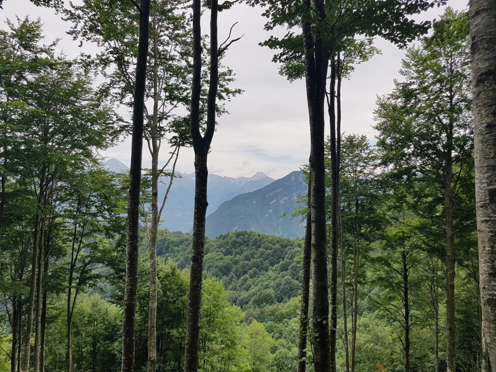 20180704_124700.jpg