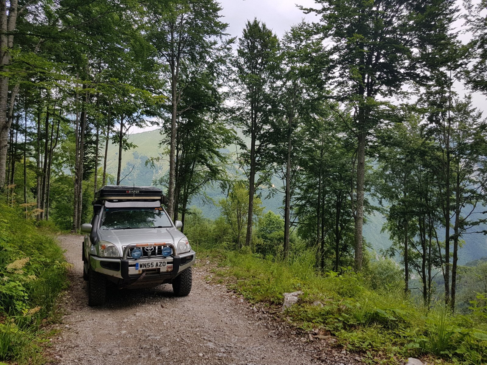 20180704_124710.jpg
