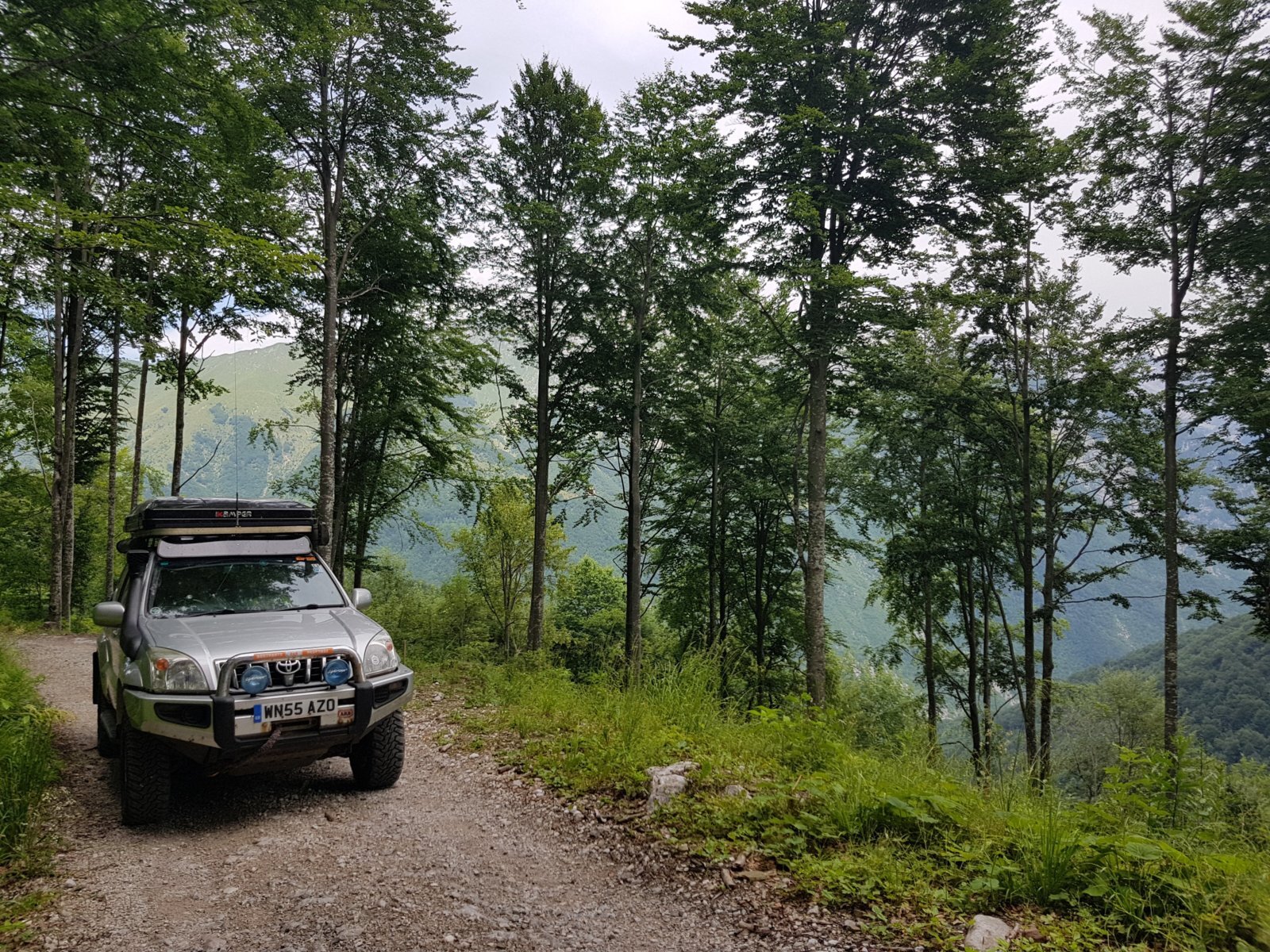 20180704_124714.jpg