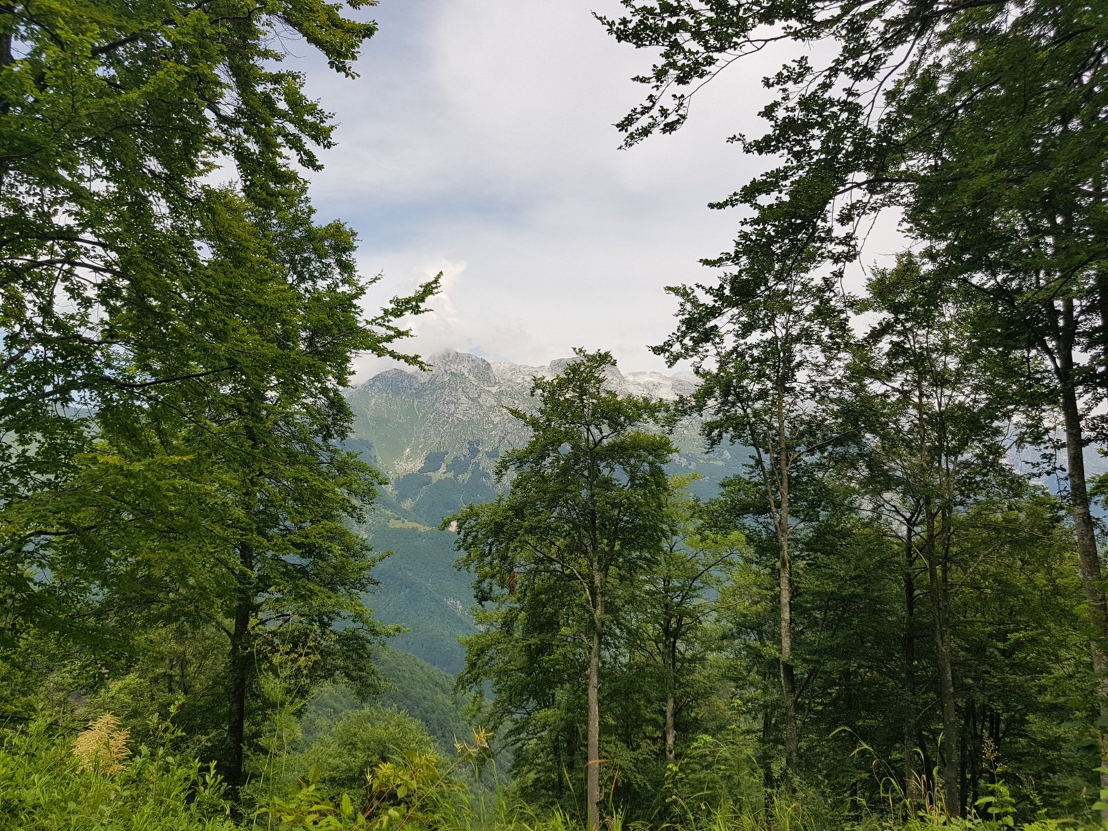 20180704_125129.jpg