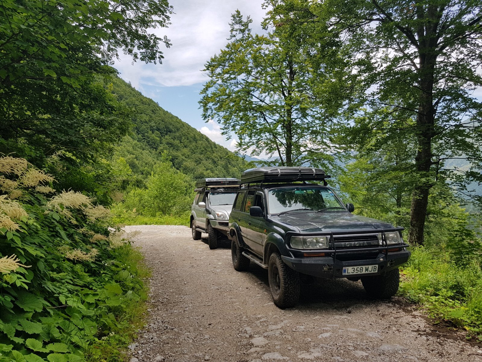 20180704_125348.jpg