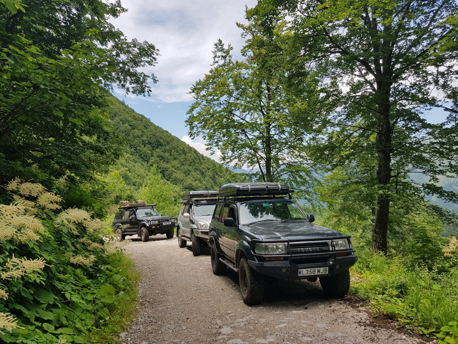 20180704_125527.jpg