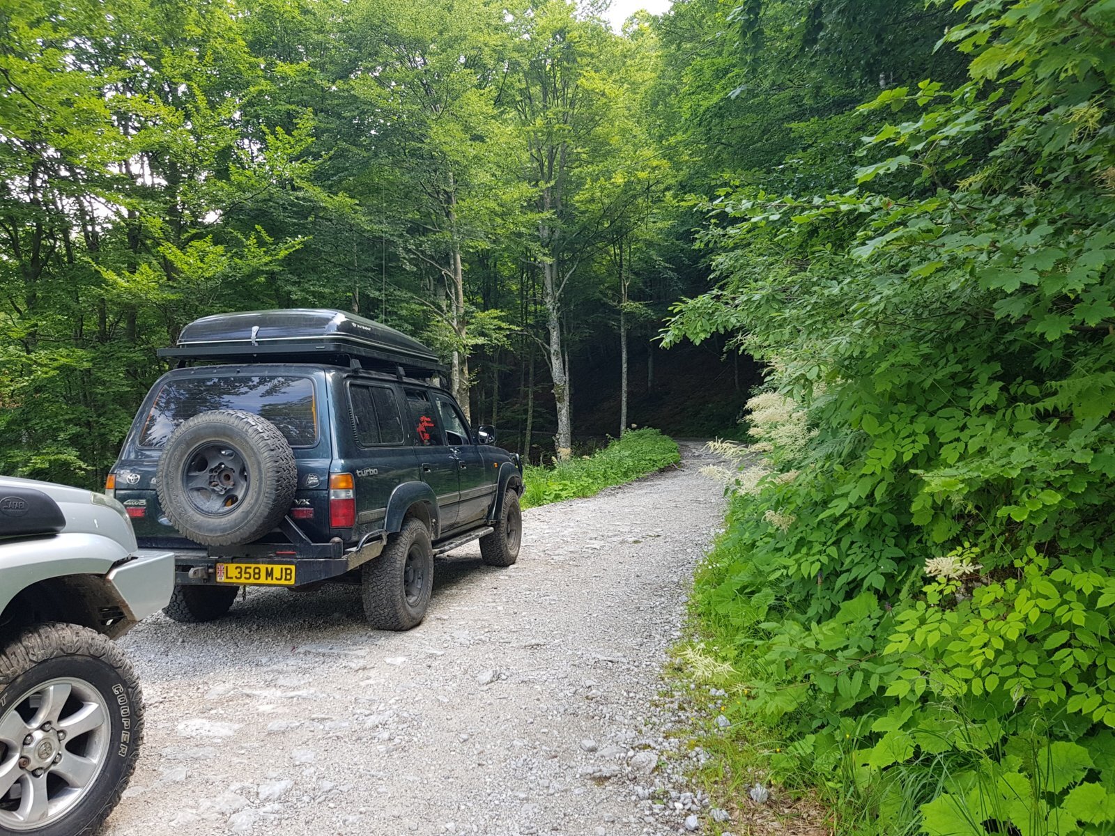 20180704_132104.jpg