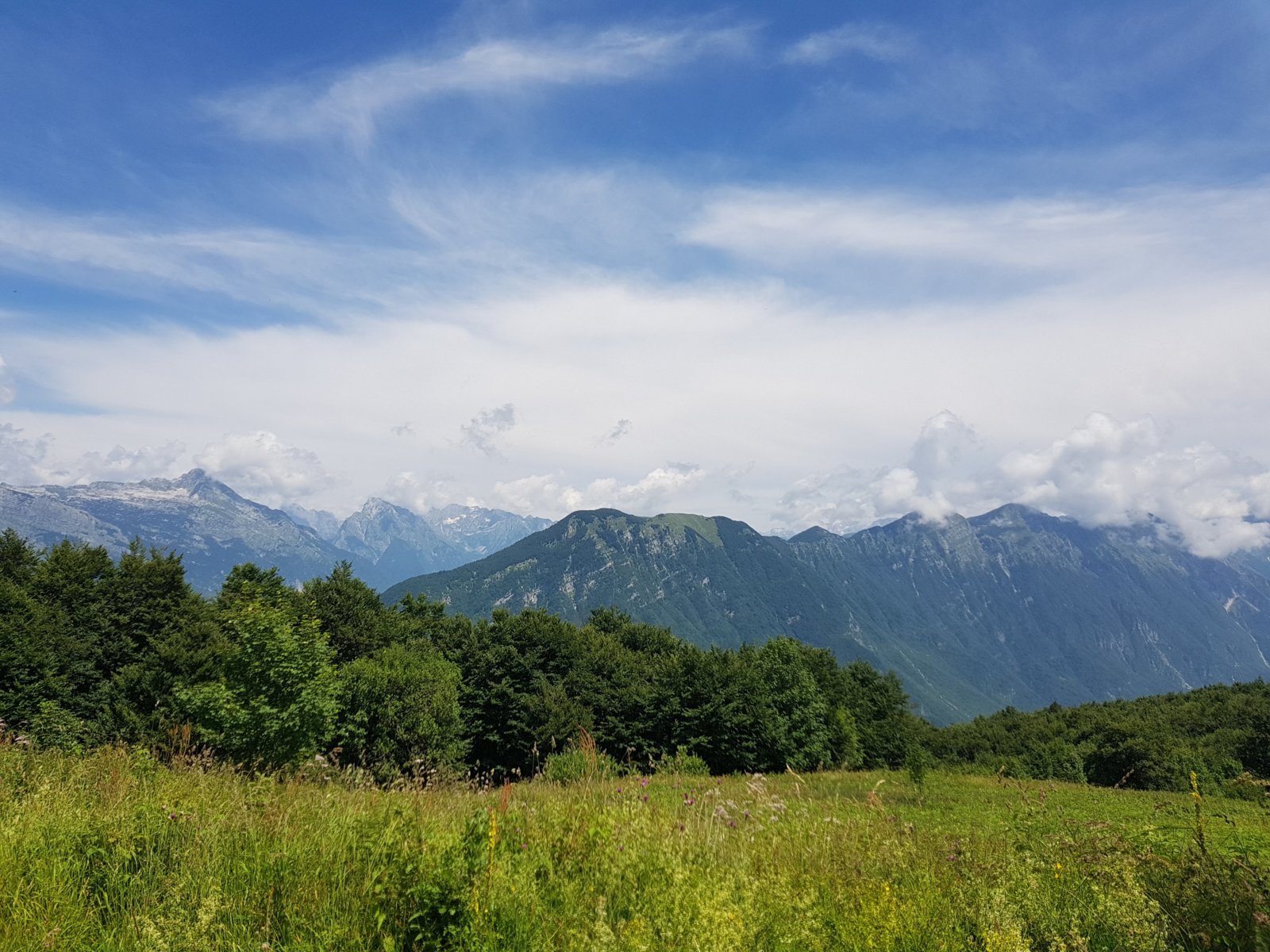 20180704_133042.jpg
