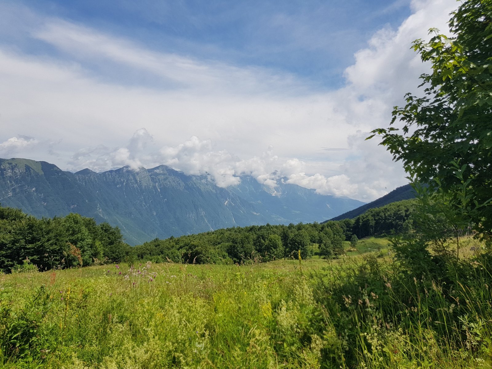 20180704_133046.jpg