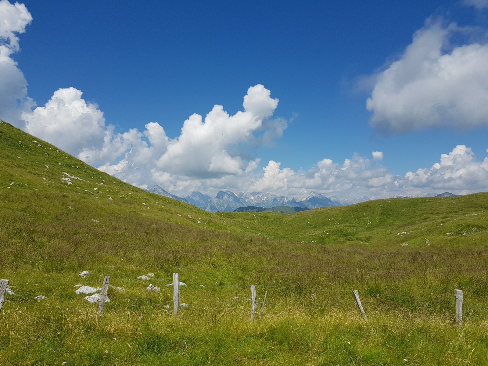 20180704_150025.jpg