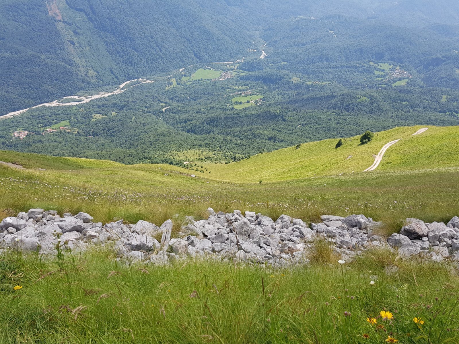 20180704_151214.jpg