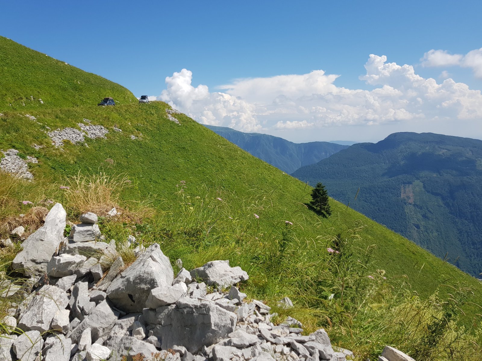 20180704_152742.jpg