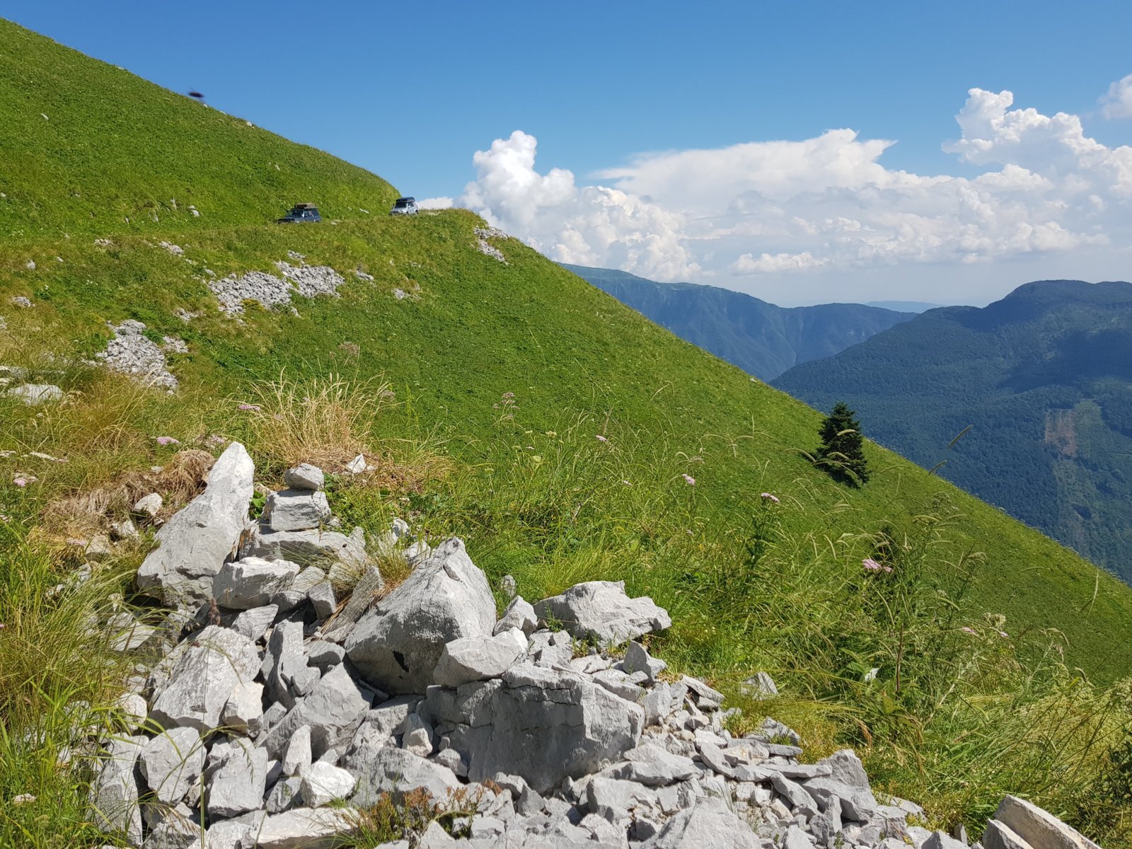 20180704_152745.jpg