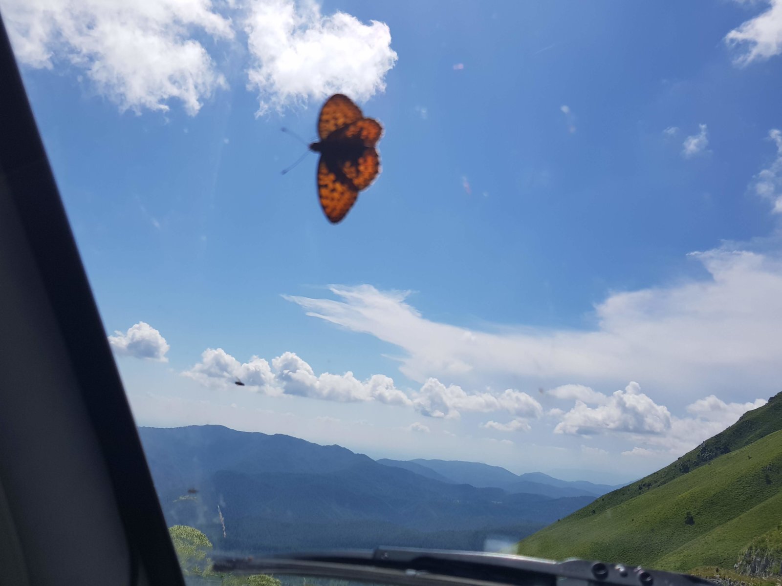 20180704_152822.jpg