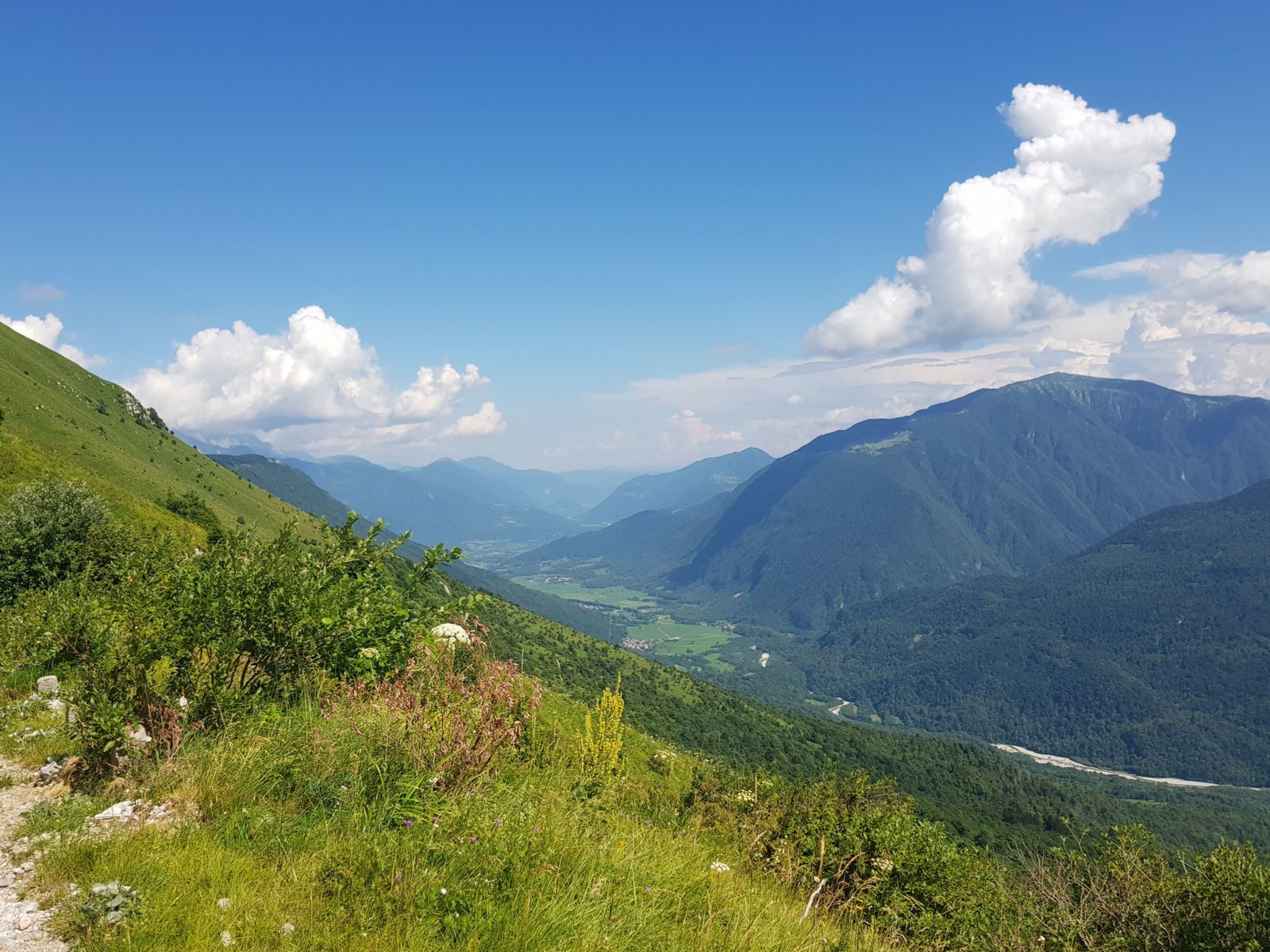 20180704_154818.jpg