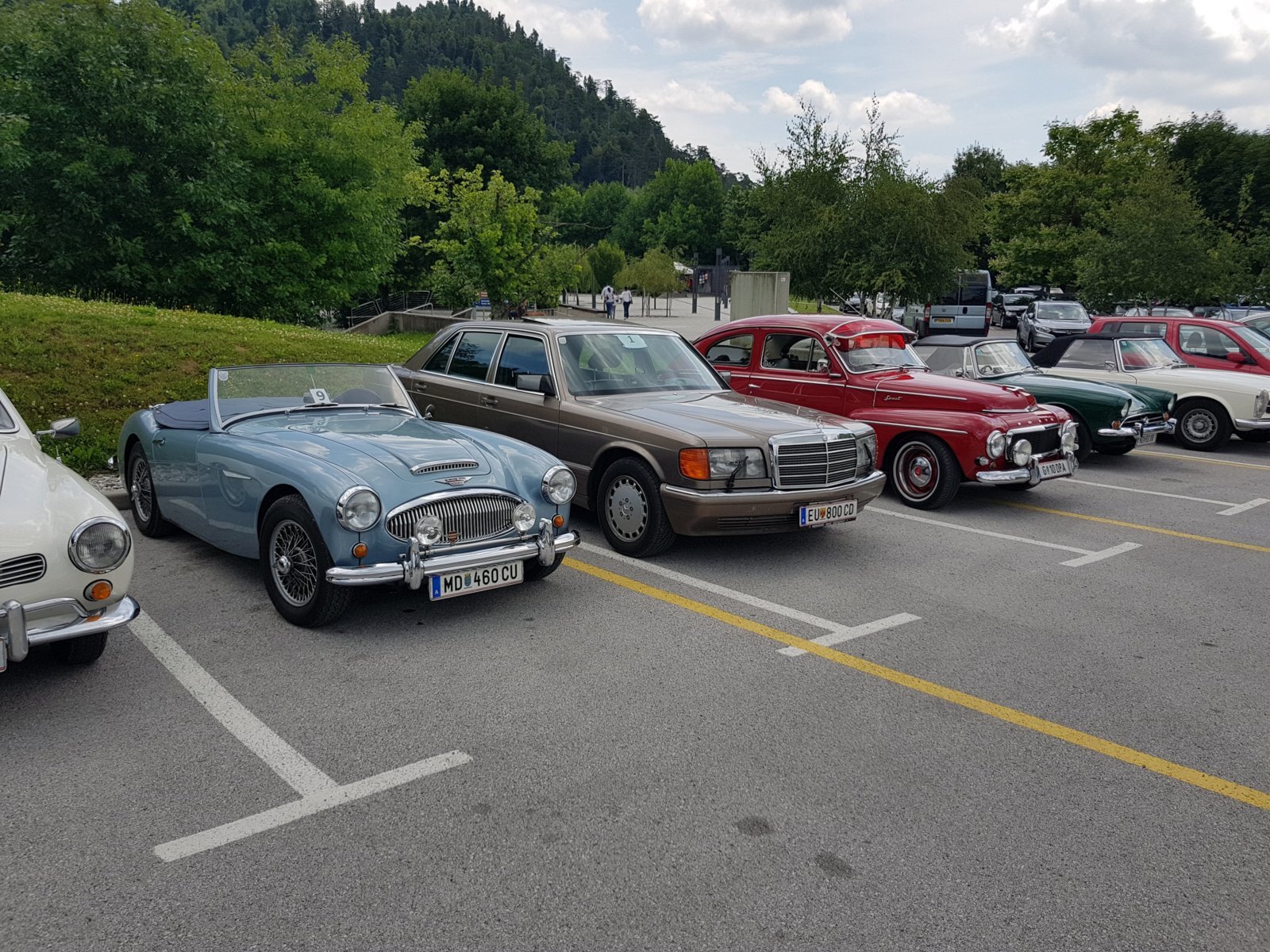 20180705_121934.jpg