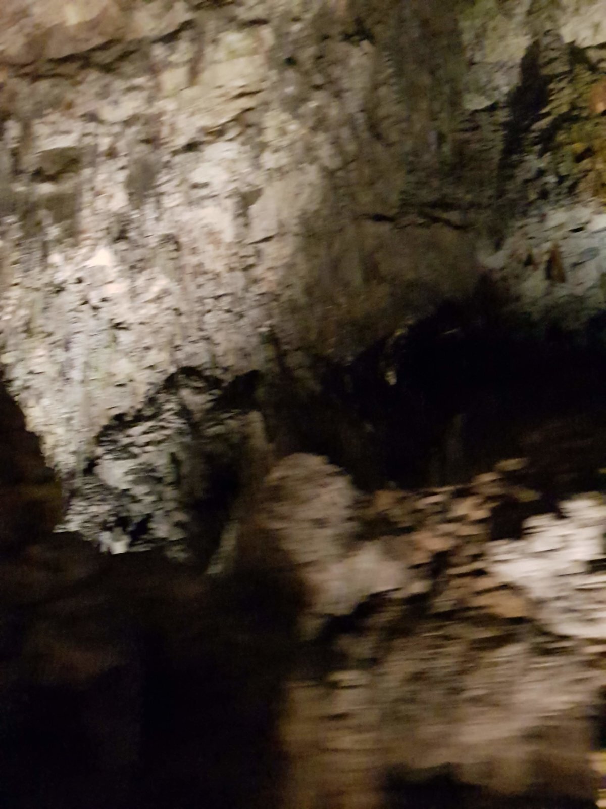 20180705_130154.jpg
