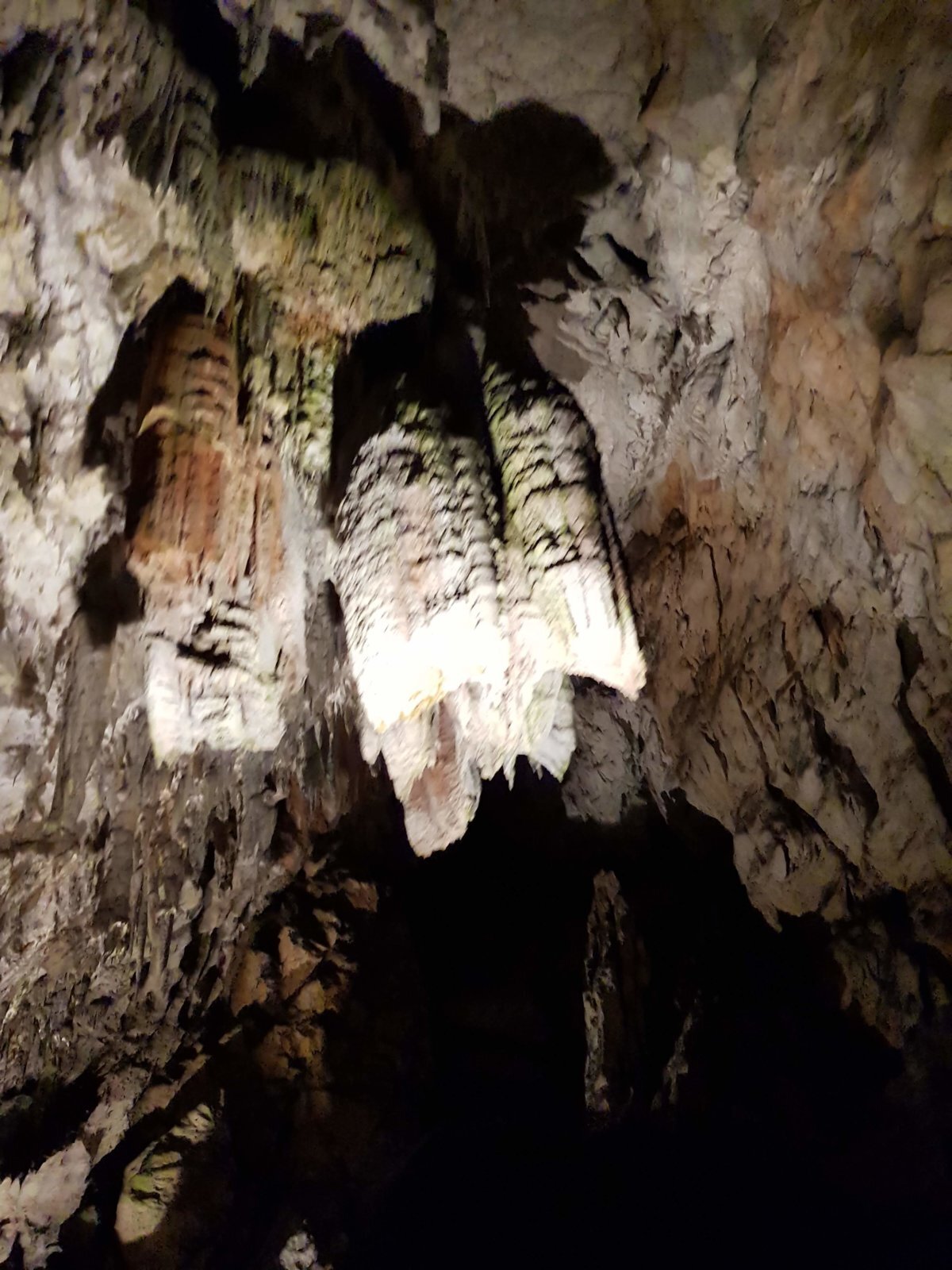 20180705_130317.jpg