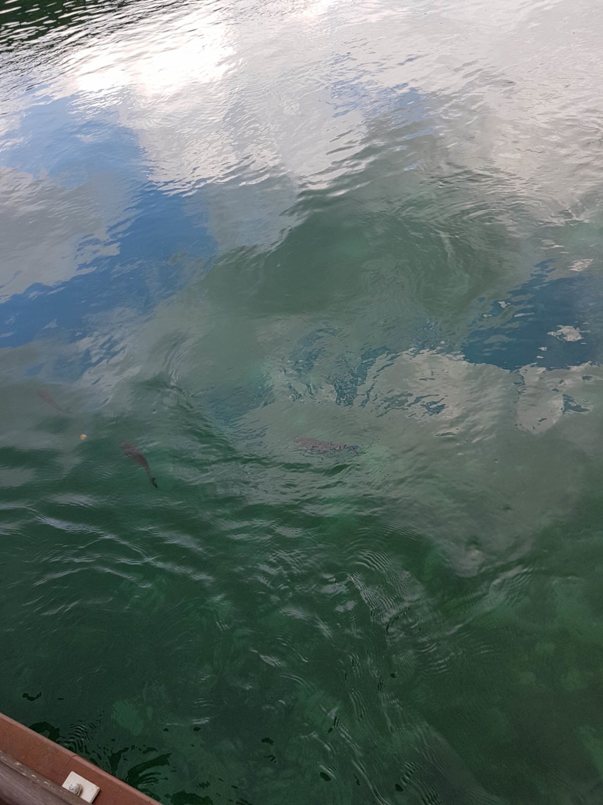 20180706_134956.jpg