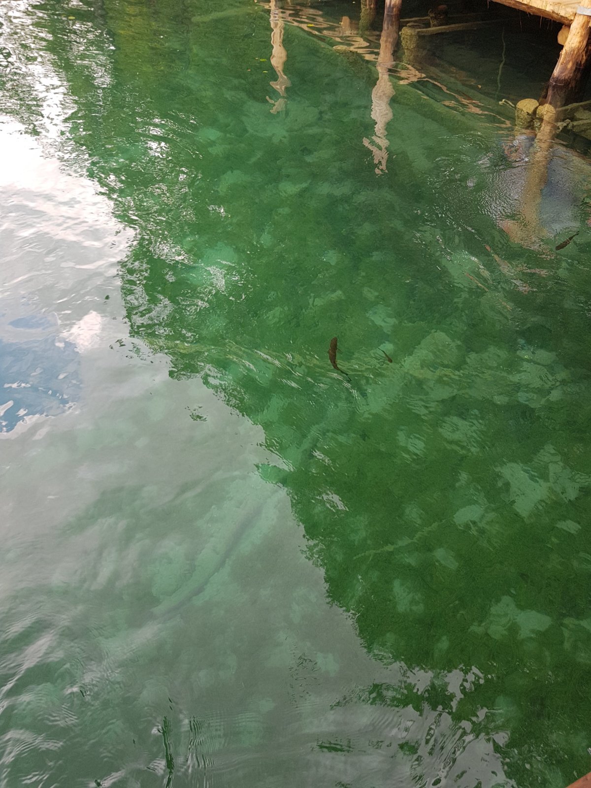 20180706_134959.jpg