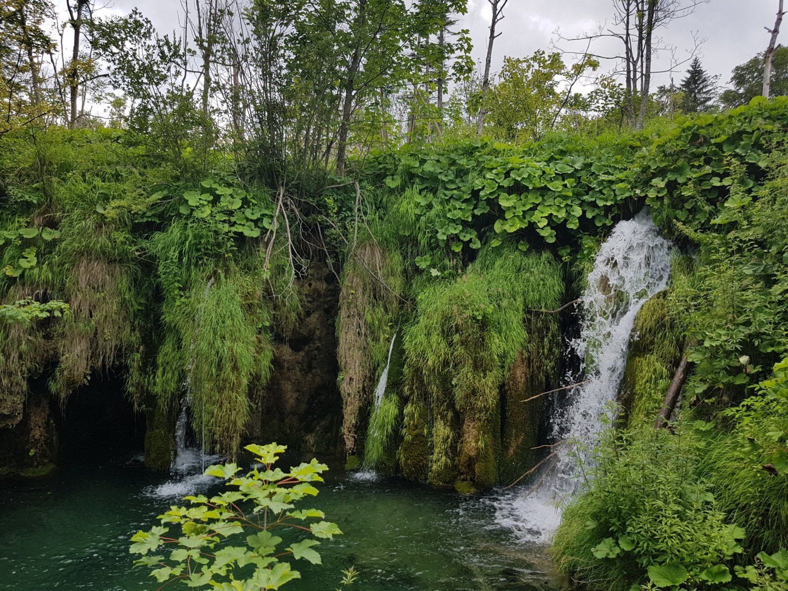 20180706_135414.jpg