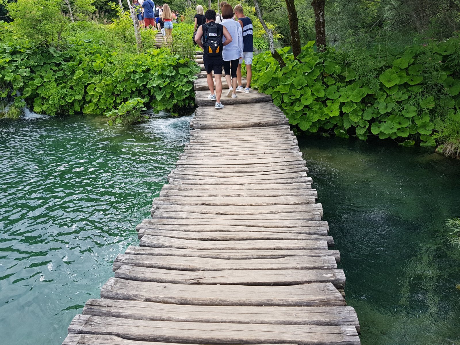 20180706_135447.jpg