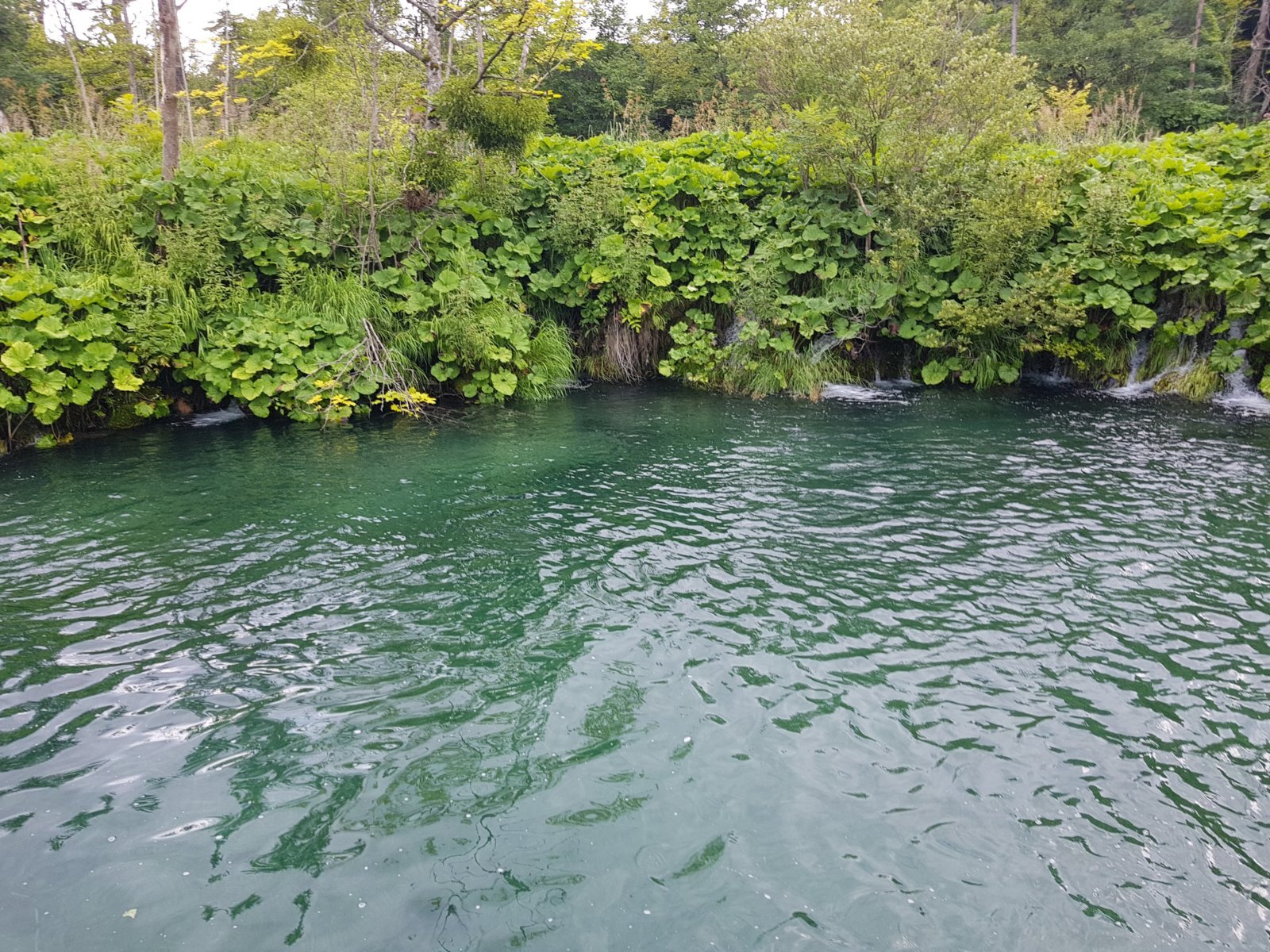 20180706_135450.jpg