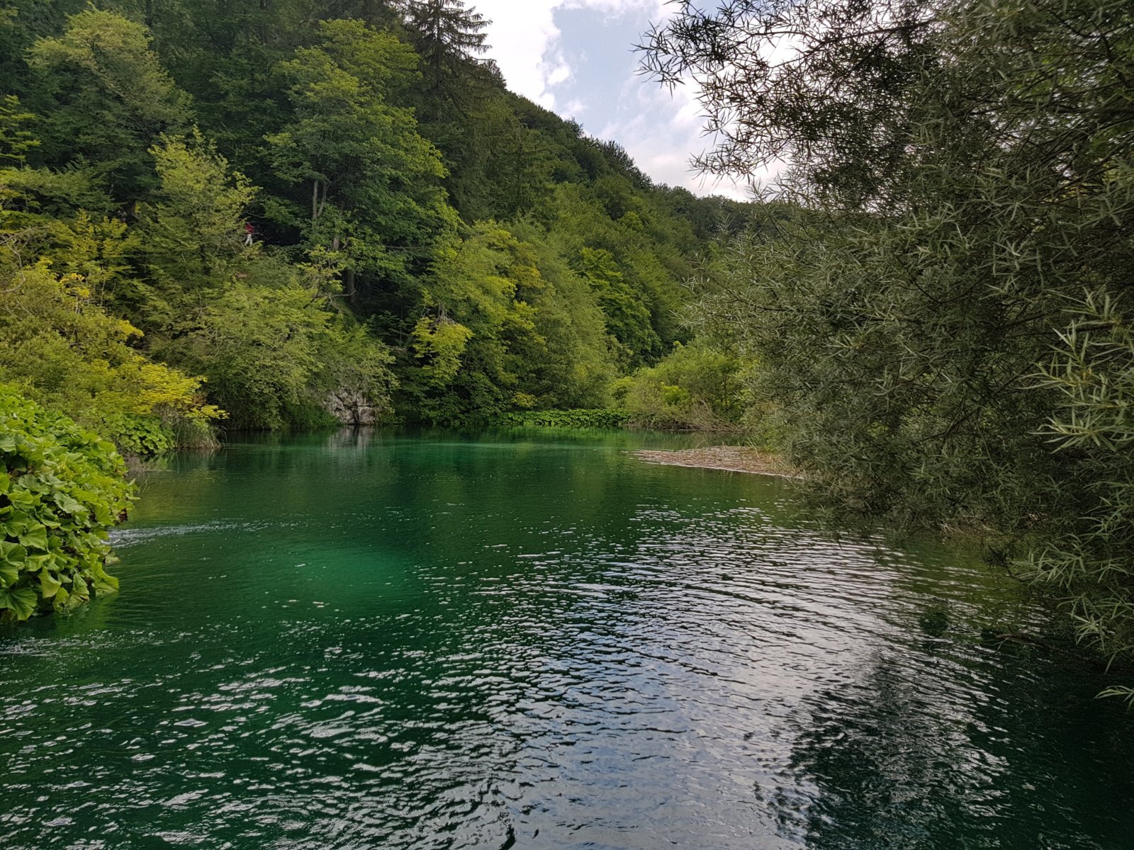 20180706_135500.jpg