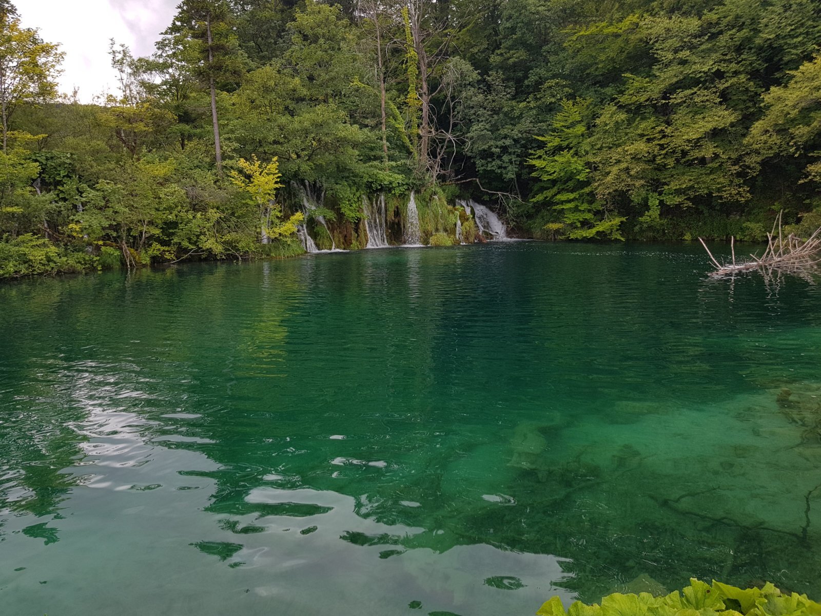 20180706_135523.jpg
