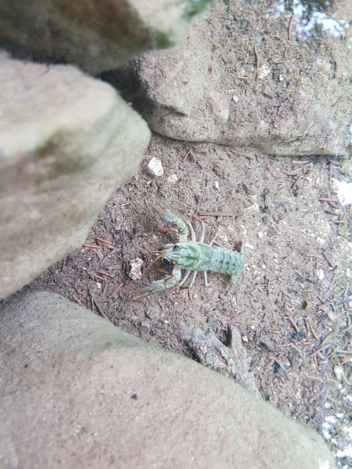 20180706_140547.jpg