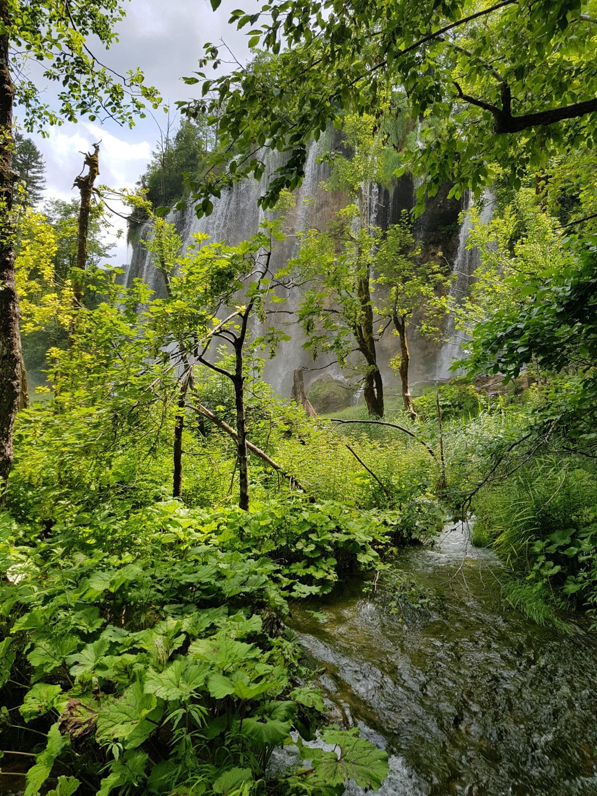 20180706_141514.jpg