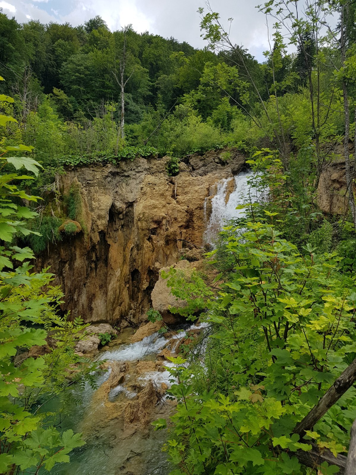 20180706_142016.jpg